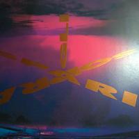 Vasco Rossi single lp gli spari sopra