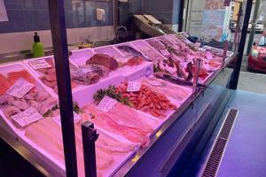 PESCHERIA FRIGGITORIA - Via Borgaro Rif. VA234