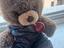 Immagine 1