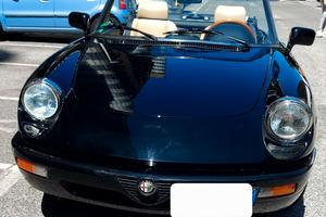 Alfa Romeo Spider Duetto