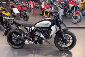 DUCATI Scrambler 800 Icon my23