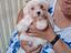 Immagine 4