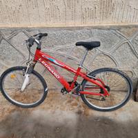 MTB ragazzo/a Legnano alluminio