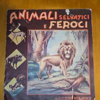 animali selvatici e feroci