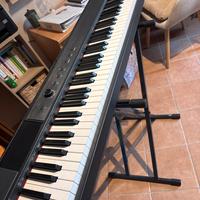 Tastiera Echord 88 tasti pesati, con supporto