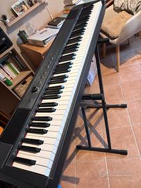 Tastiera Echord 88 tasti pesati, con supporto