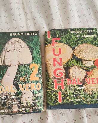 Libro dei Funghi di Cetto ed Saturnia 1976
