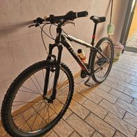 MTB Torpado 29