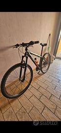 MTB Torpado 29