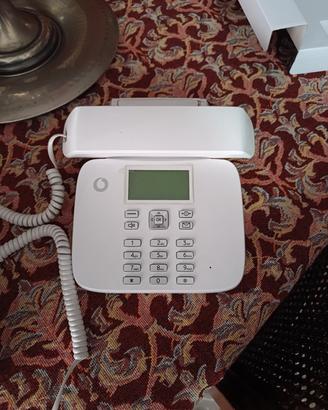 telefono fisso a scheda