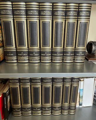 Piccola Treccani 14 vol.