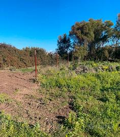 Terreno destinazione zona “G”