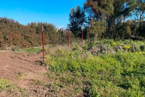 Terreno destinazione zona “G”