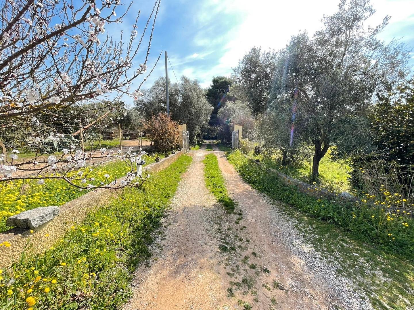 Casa – S'Aliguera/l'Alguer/Alghero, Sa Segada - Vista 2