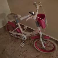BICICLETTA DI VIOLETTA 