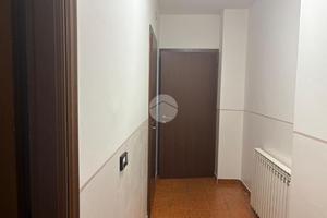 NEGOZIO A TROFARELLO