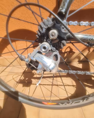 Bicicletta longo 10 velocità