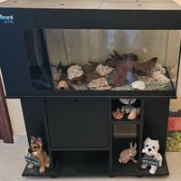Acquario Siccardi Torino con mobile nero – ottime
