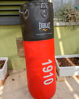 Sacco da boxe Everlast 1910