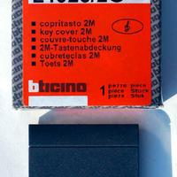 Copri Tasto Bticino Living International L4925/2G