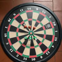 Gioco delle freccette magnetico