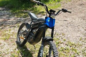 Talaria Sting 3000
