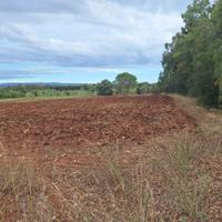 Terreno agricolo nei pressi di Fertilia