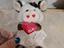 Immagine 6