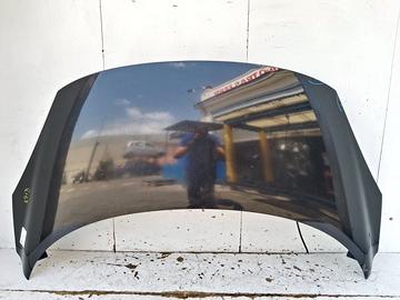 651000036R COFANO ANTERIORE RENAULT SCENIC III (J9