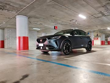 Cupra Formentor 2.0 Tdi 150cv 4drive DSG