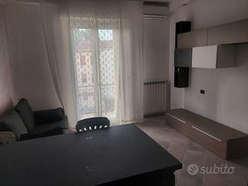 Trilocale nuovo e arredato