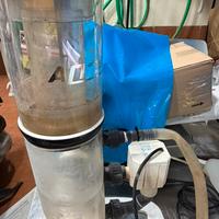 Acquario pesci schiumatoio marino