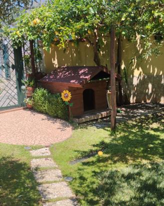 CUCCIA/ CASETTA IN LEGNO PER CANE
