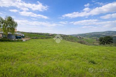 TER. AGRICOLO A ATRI