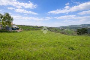 TER. AGRICOLO A ATRI