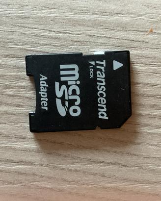 Adattatore micro sd trascend 13 pezzi