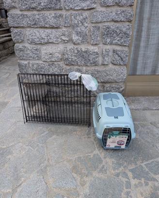 Kit completo per cucciolo