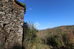 TER. AGRICOLO A OGLIASTRO CILENTO