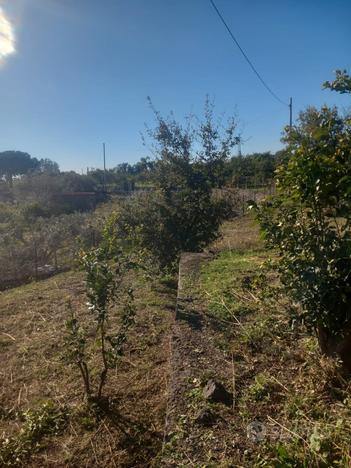 Terreno agricolo a Monacella