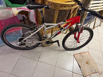 Bici mountain bike