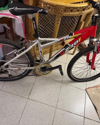 Bici mountain bike