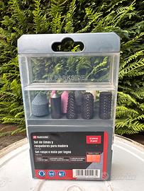Parkside Set Raspe e mole per legno