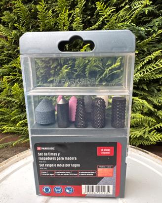 Parkside Set Raspe e mole per legno