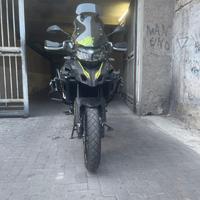 Benelli TRK 502 - 2021