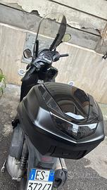 Sh 300 2019 black series