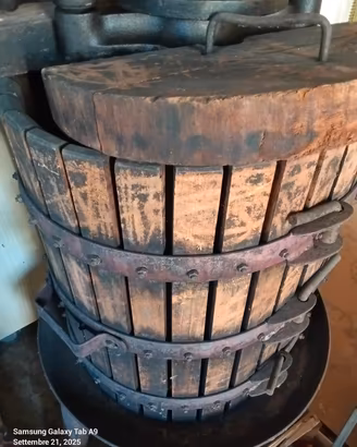 DIRASPATRICE ELETTRICA+ TORCHIO IN LEGNO + DAMIGIA