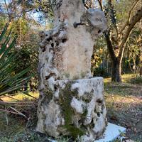 Fontana in pietra  vera