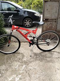 Mountain bike 