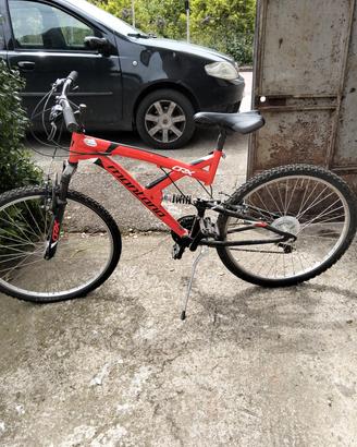 Mountain bike 