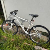 Mountain bike in buono stato
